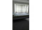cheap single room $125