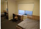 Morley 3 rooms  rental 