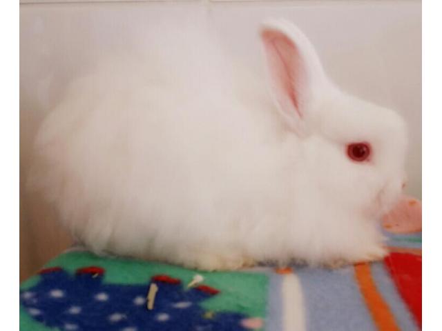 ´ɰС~