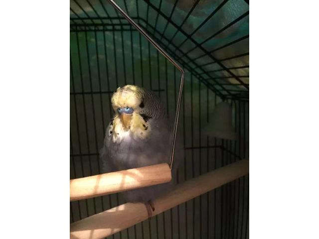 Һ