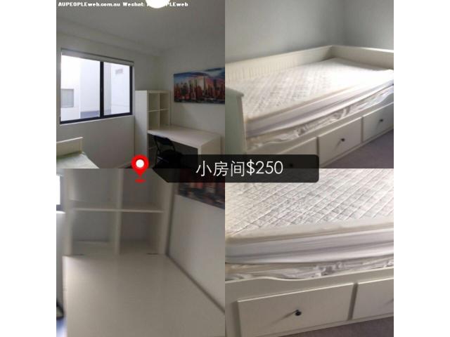 Apartment ⣺صCity