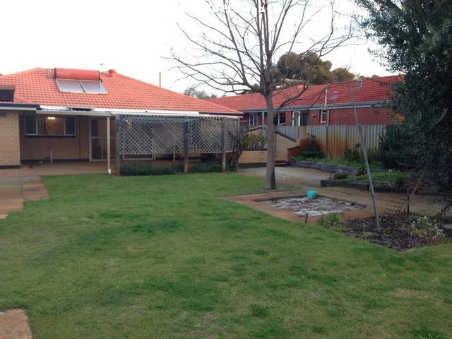 Dianella ѣMorley,ECU 