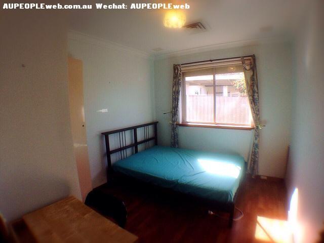 Dianella ѣMorley,ECU 