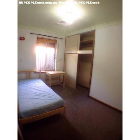 Dianella ѣMorley,ECU 