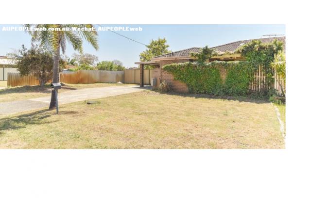 willetton  ܰС⣬ѧУ
