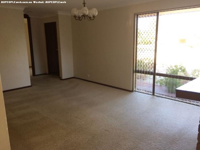 Willetton ѧ 