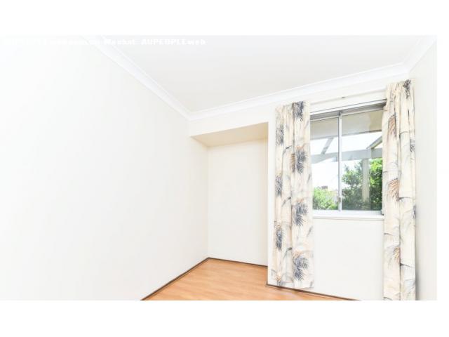 willetton ѧС⽻ͨ