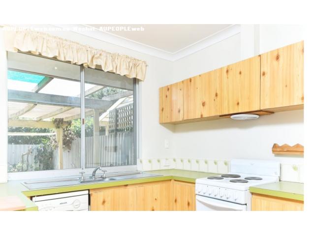 willetton ѧС⽻ͨ