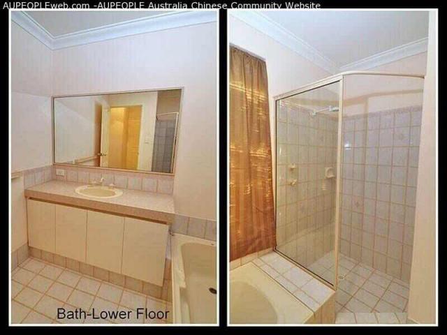 Bayswater ׳