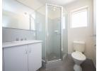 Curtin&amp;Carousel flat⣡ 