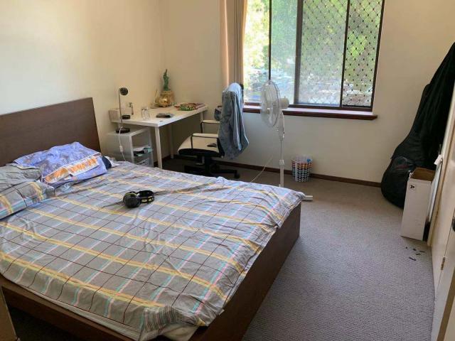uwa house ҳ⣬Crawly