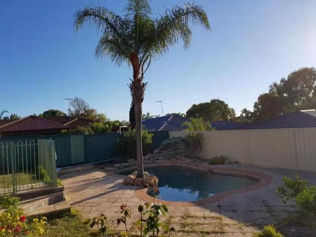 Joondalup ÷