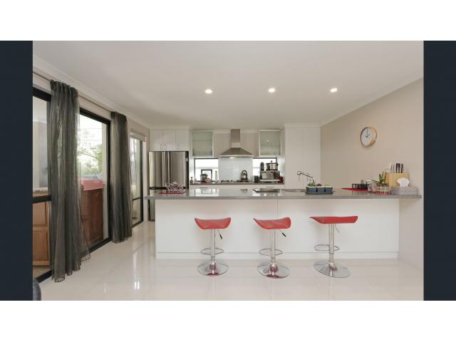 Willetton˫㾰42