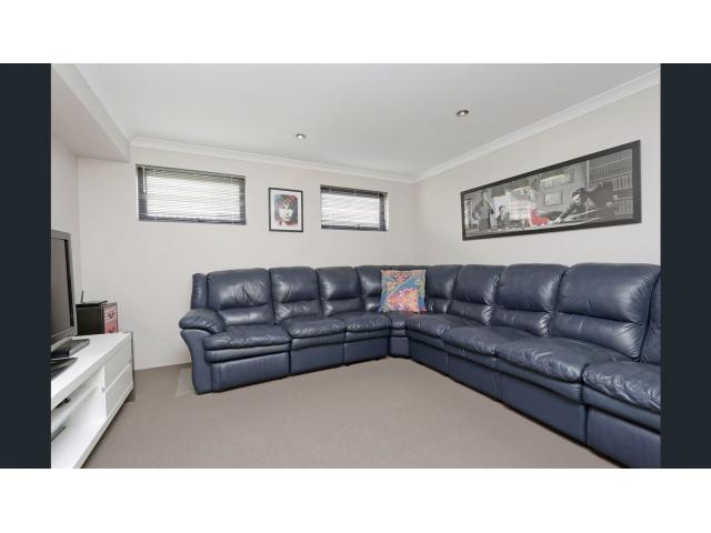 Willetton˫㾰42
