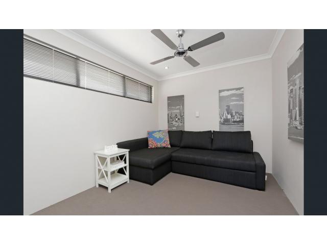 Willetton˫㾰42