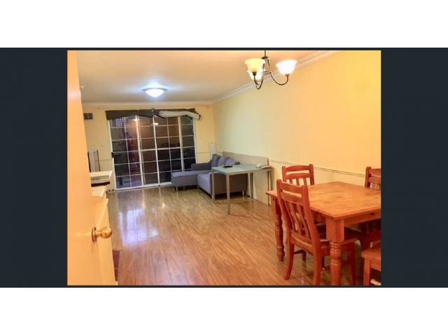 City,2x1x1,400$/week