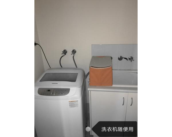 Curtin,Wilson,ѧ,$120