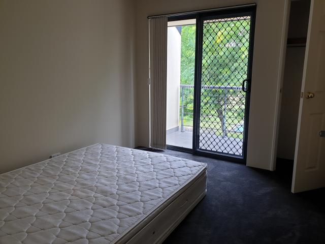 Curtin, 23⣬$415