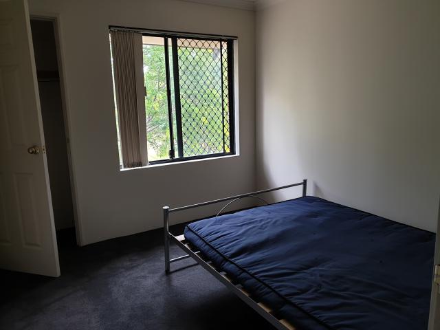 Curtin, 23⣬$415