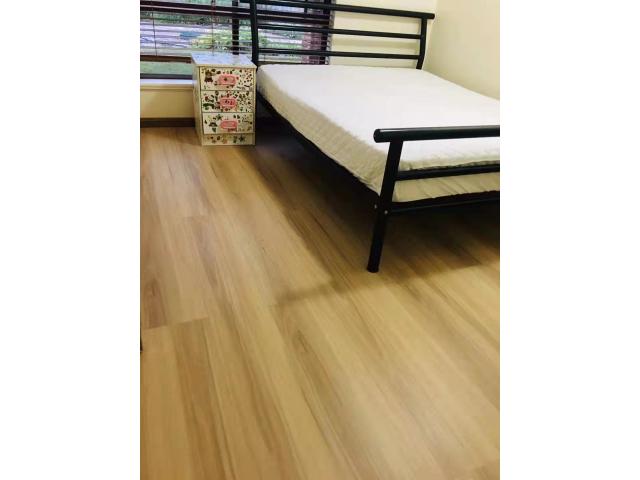 Ballajuraش⣬ÿ$140