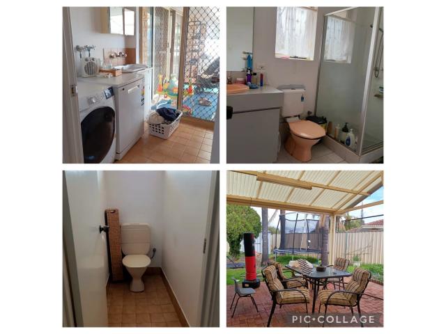 Willetton ⷿ
