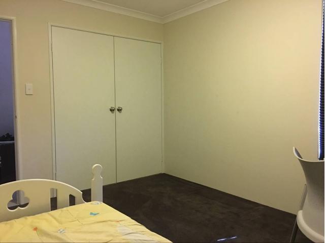 Willetton⣬ˮúȫ