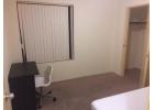 near Curtin，single room