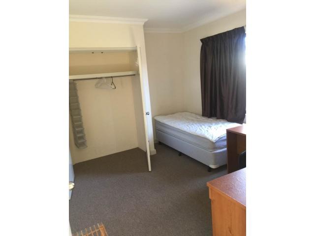 near Curtin，1 single room