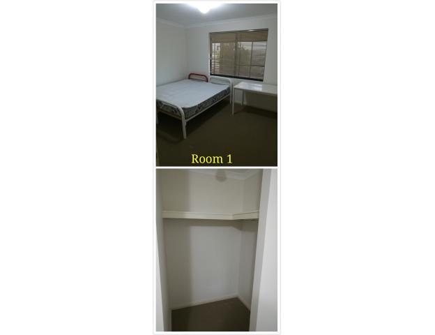 Wattle Grove，3room rental