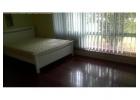 Willetton good room renta