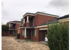near ECU Mount Lawley roo