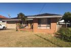 Tuart Hill 3x1 house rent