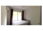 UWA single room rental