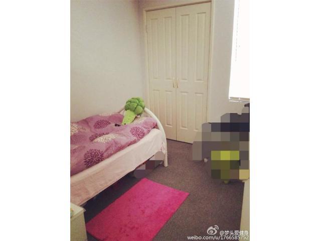 curtin 3 rooms rental