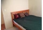 Morley a single room rent