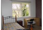 Wilson1 room